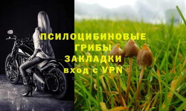винт Зерноград