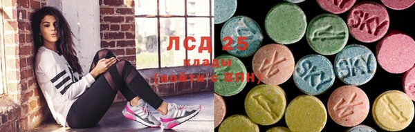 эйфоретик Чекалин