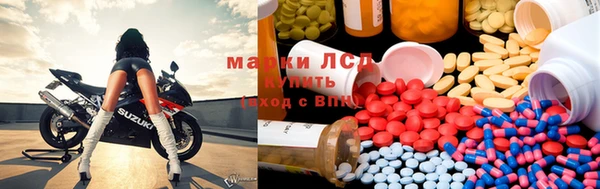 эйфоретик Чекалин